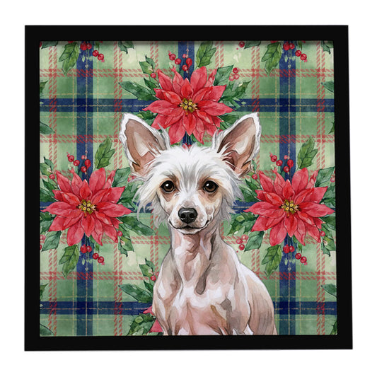 Buy this Hairless Chinese Crested Christmas PoinsettIas Framed Metal Print