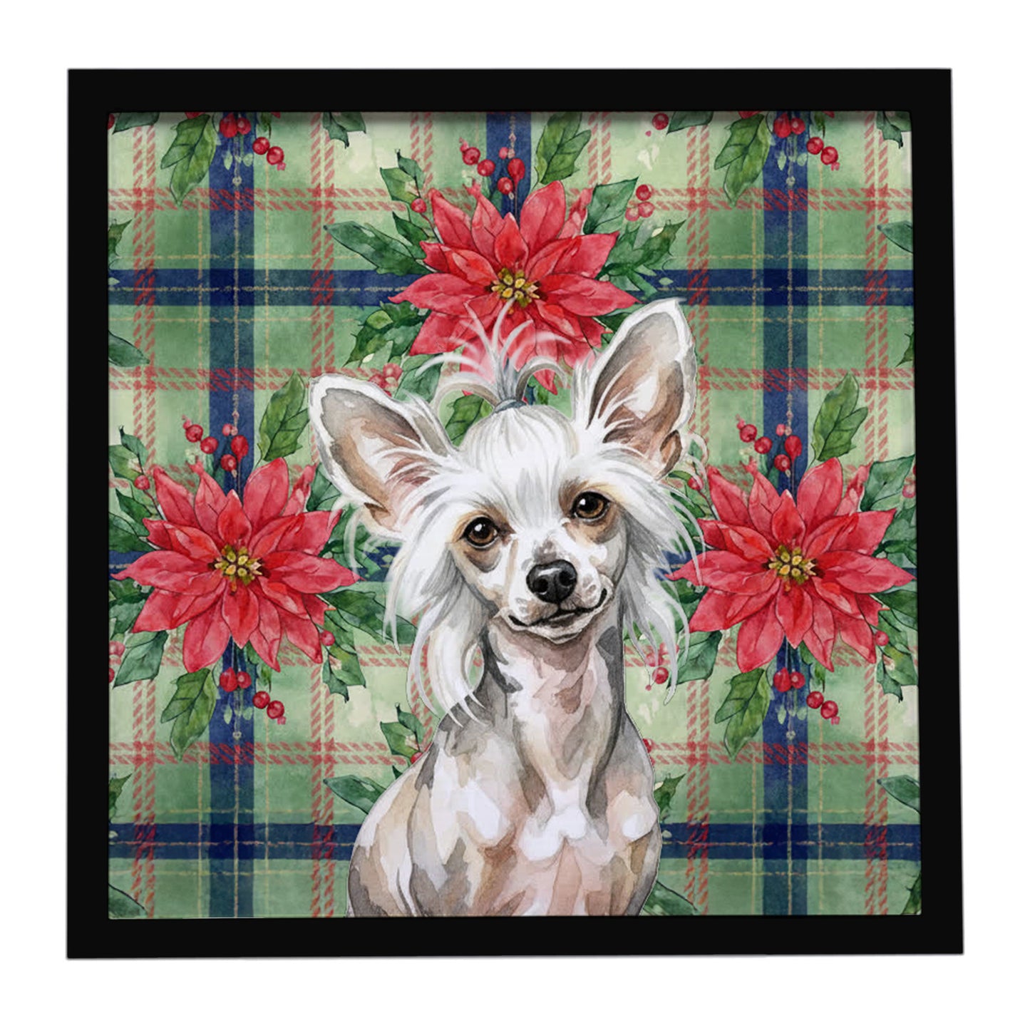 Buy this Hairless Mottled Pattern Chinese Crested Christmas PoinsettIas Framed Metal Print