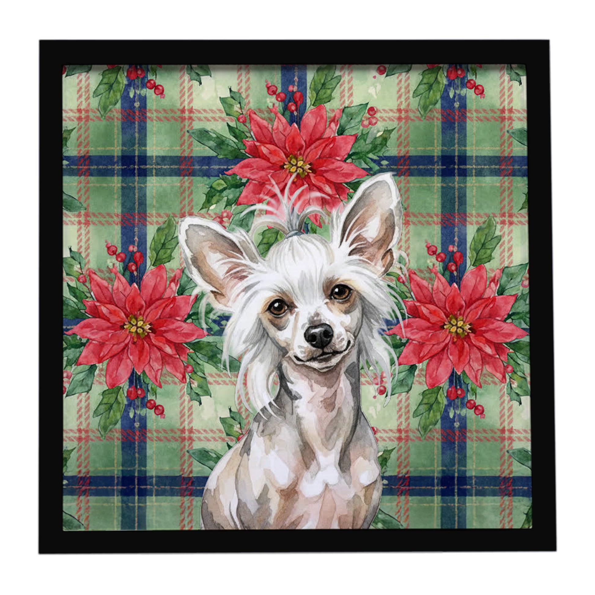 Buy this Hairless Mottled Pattern Chinese Crested Christmas PoinsettIas Framed Metal Print