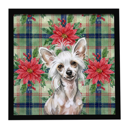 Buy this Hairless Mottled Pattern Chinese Crested Christmas PoinsettIas Framed Metal Print