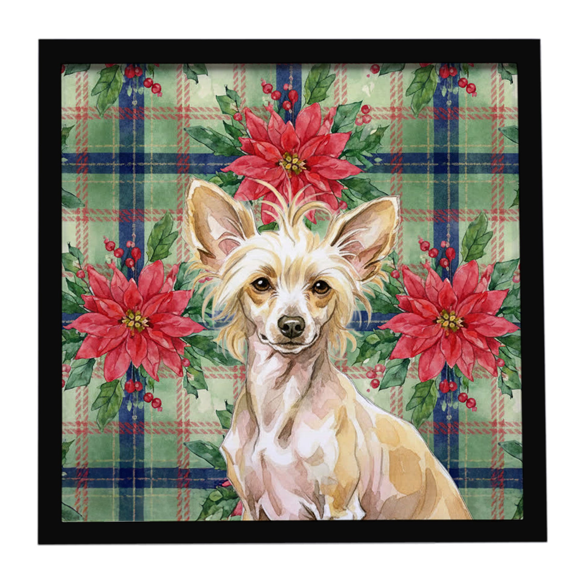 Buy this Hairless Palomino Chinese Crested Christmas PoinsettIas Framed Metal Print
