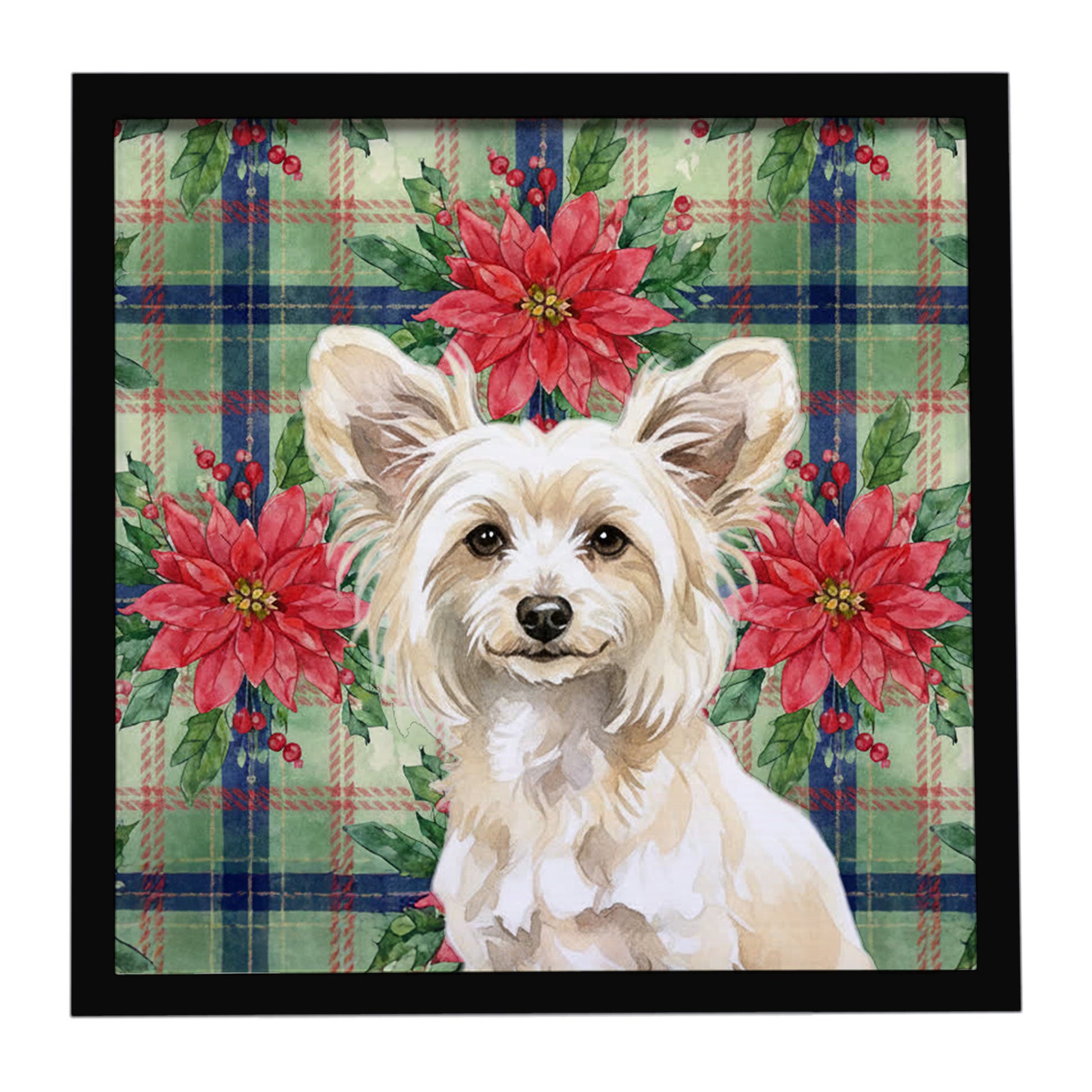 Buy this Powderpuff Chinese Crested Christmas PoinsettIas Framed Metal Print