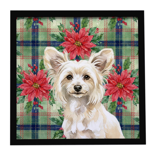 Buy this Powderpuff Chinese Crested Christmas PoinsettIas Framed Metal Print