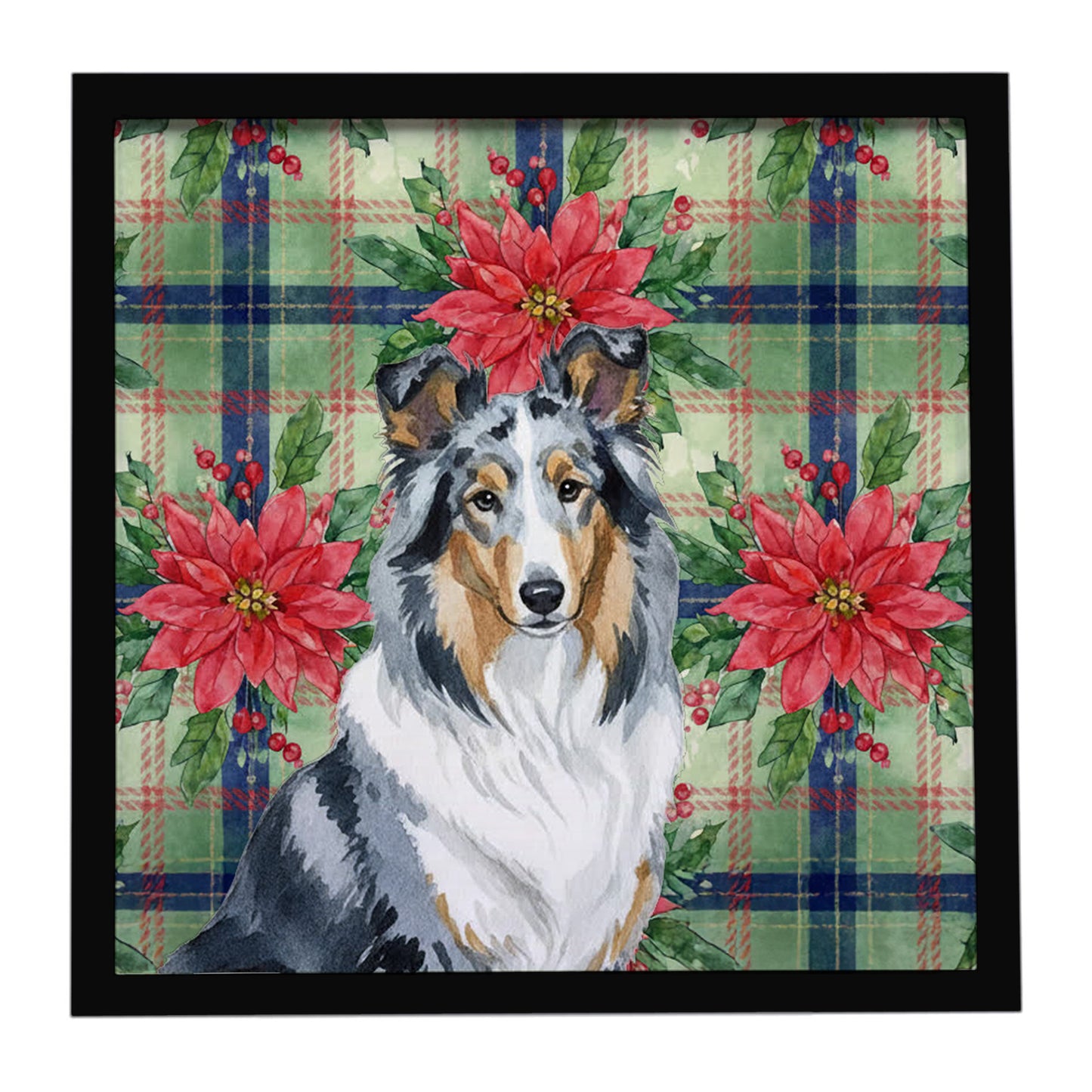 Buy this Blue Merle Collie Christmas PoinsettIas Framed Metal Print