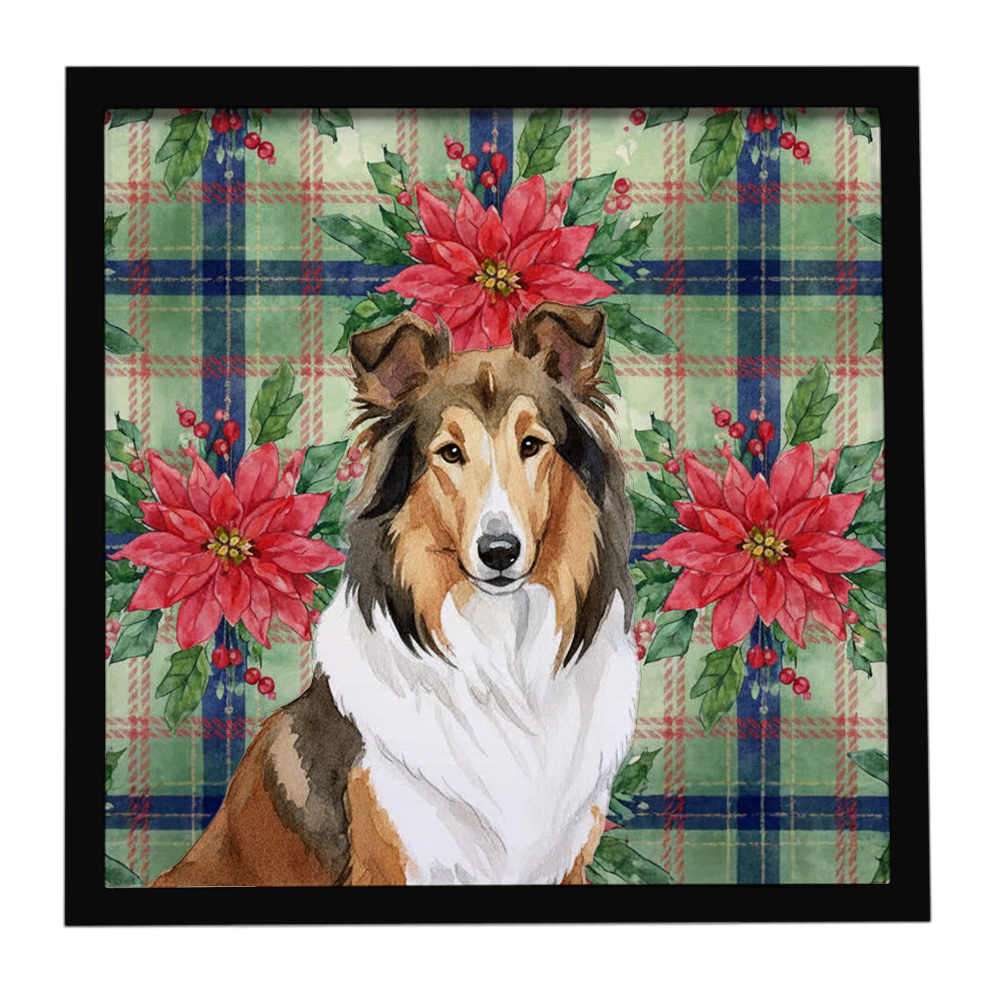 Buy this Sable Collie Christmas PoinsettIas Framed Metal Print