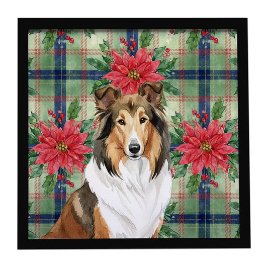 Buy this Sable Collie Christmas PoinsettIas Framed Metal Print