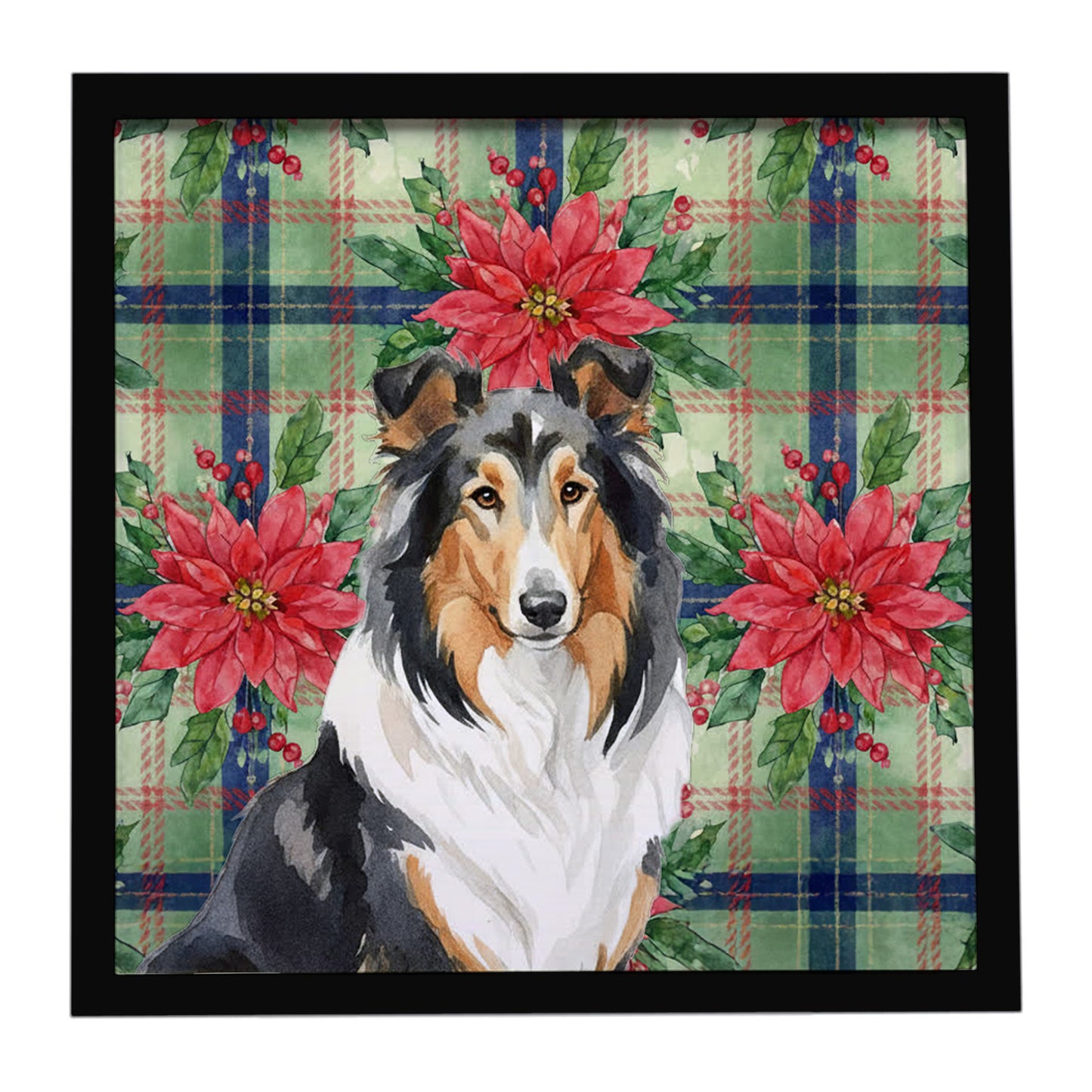 Buy this Tricolor Collie Christmas PoinsettIas Framed Metal Print