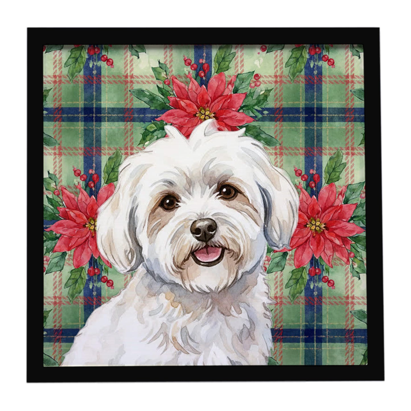 Buy this Coton de Tulear Christmas PoinsettIas Framed Metal Print