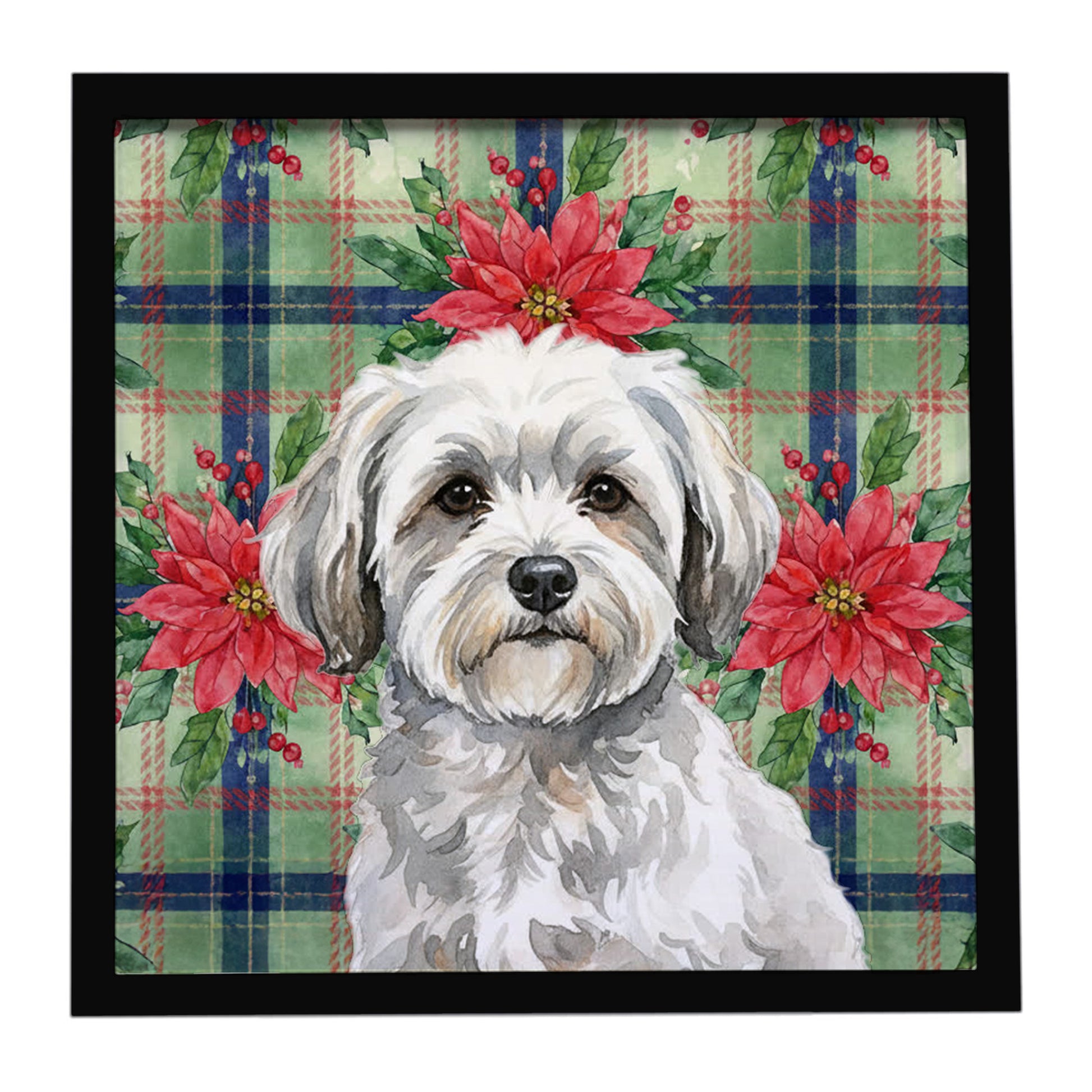Buy this White with Gray Coton de Tulear Christmas PoinsettIas Framed Metal Print