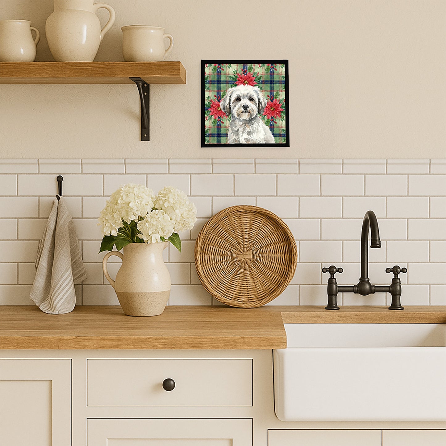 White with Gray Coton de Tulear Christmas PoinsettIas Framed Metal Print
