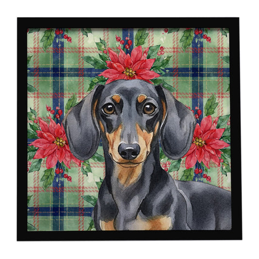Buy this Black and Tan Dachshund Christmas PoinsettIas Framed Metal Print