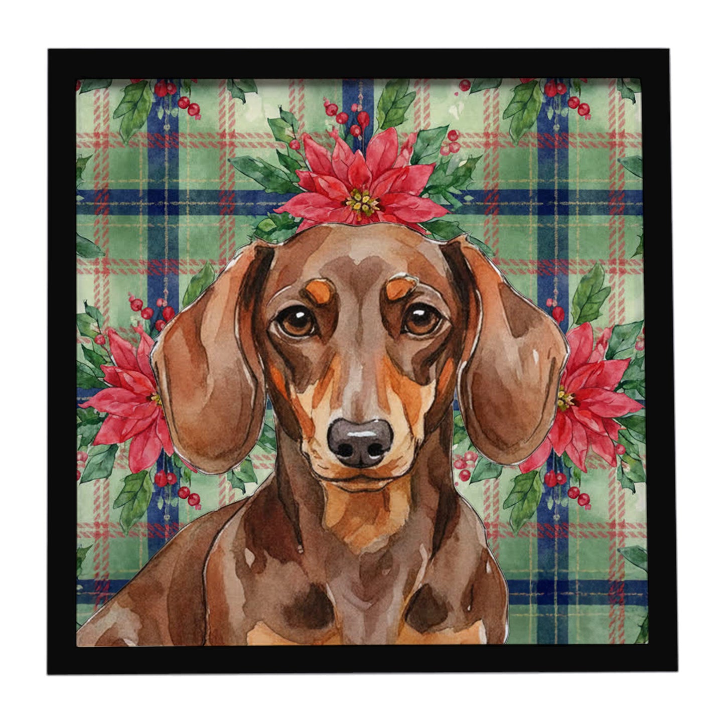 Buy this Chocolate and Tan Dachshund Christmas PoinsettIas Framed Metal Print