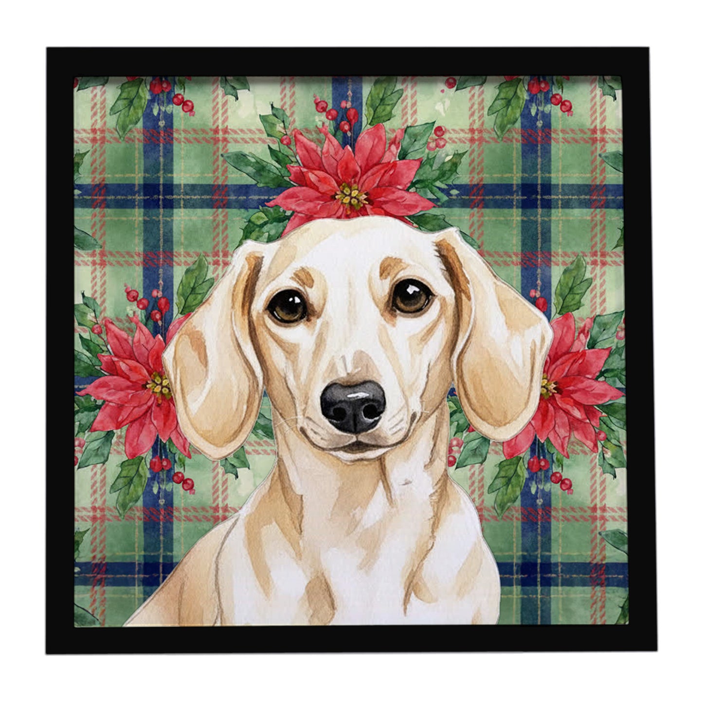 Buy this Cream Dachshund Christmas PoinsettIas Framed Metal Print