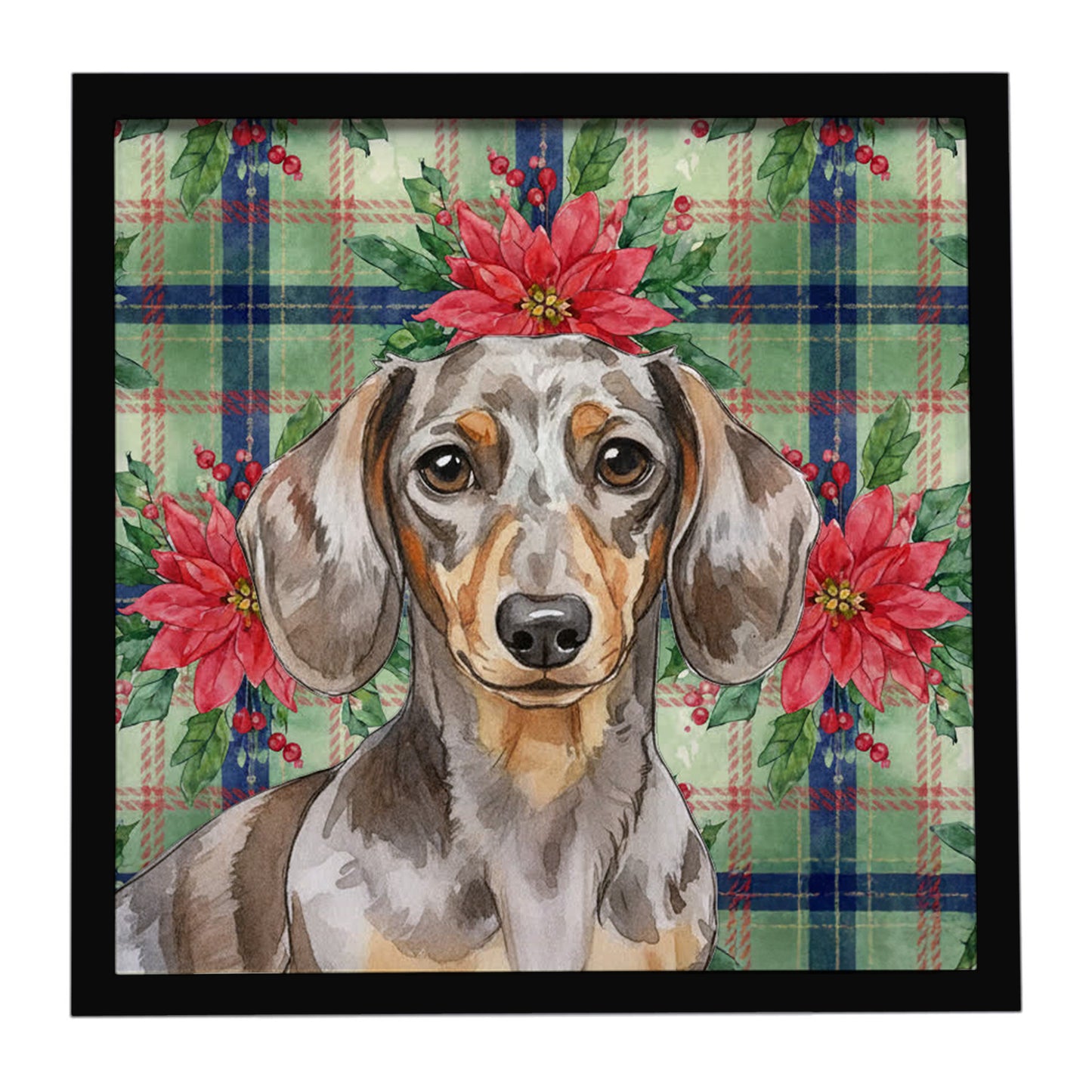 Buy this Dapple Dachshund Christmas PoinsettIas Framed Metal Print
