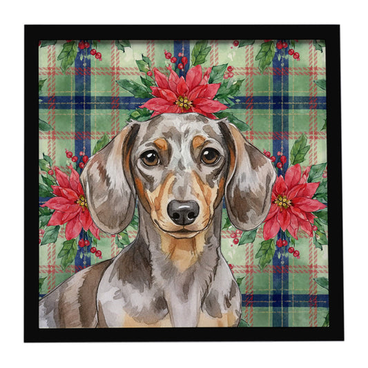 Buy this Dapple Dachshund Christmas PoinsettIas Framed Metal Print