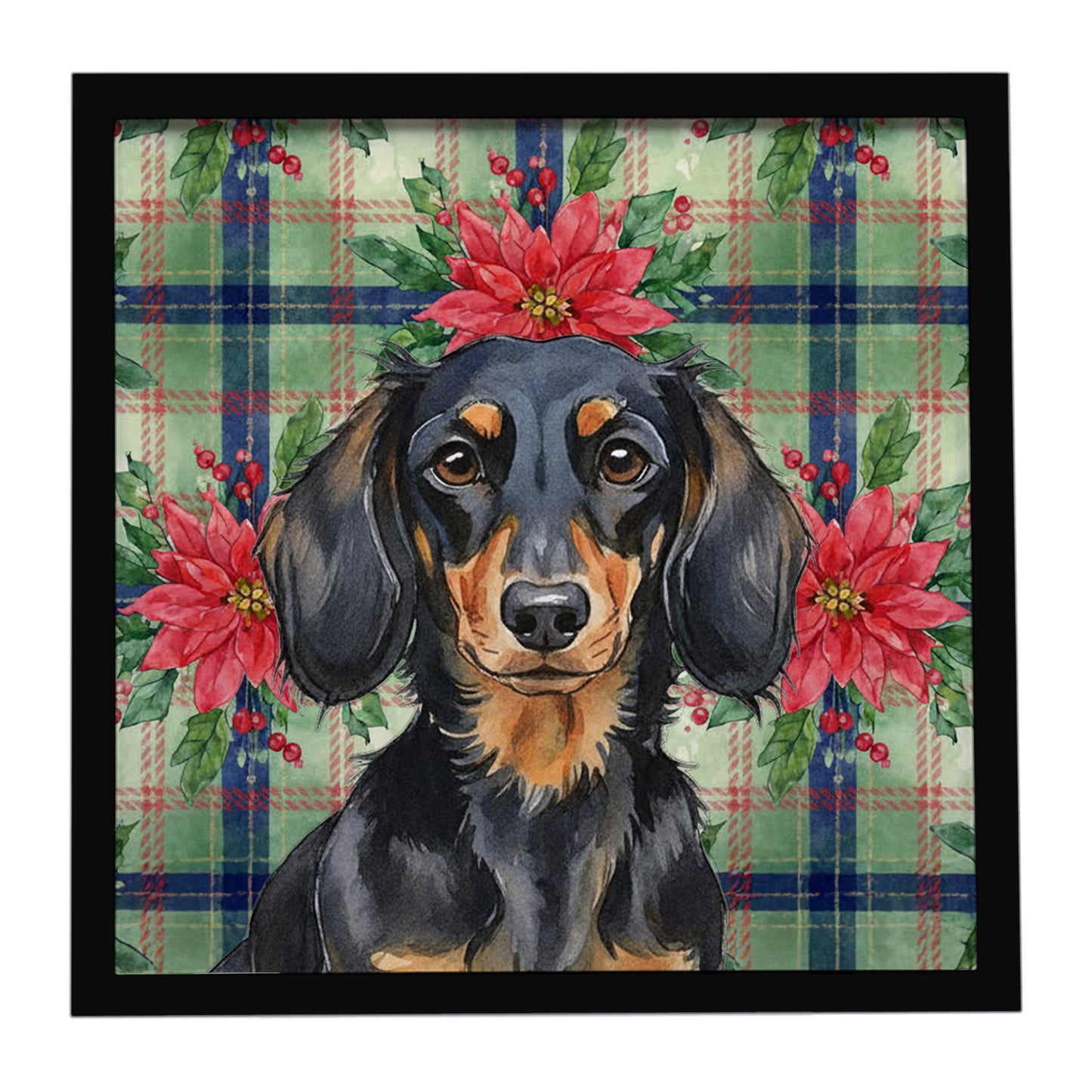Buy this Longhaired Black and Tan Dachshund Christmas PoinsettIas Framed Metal Print