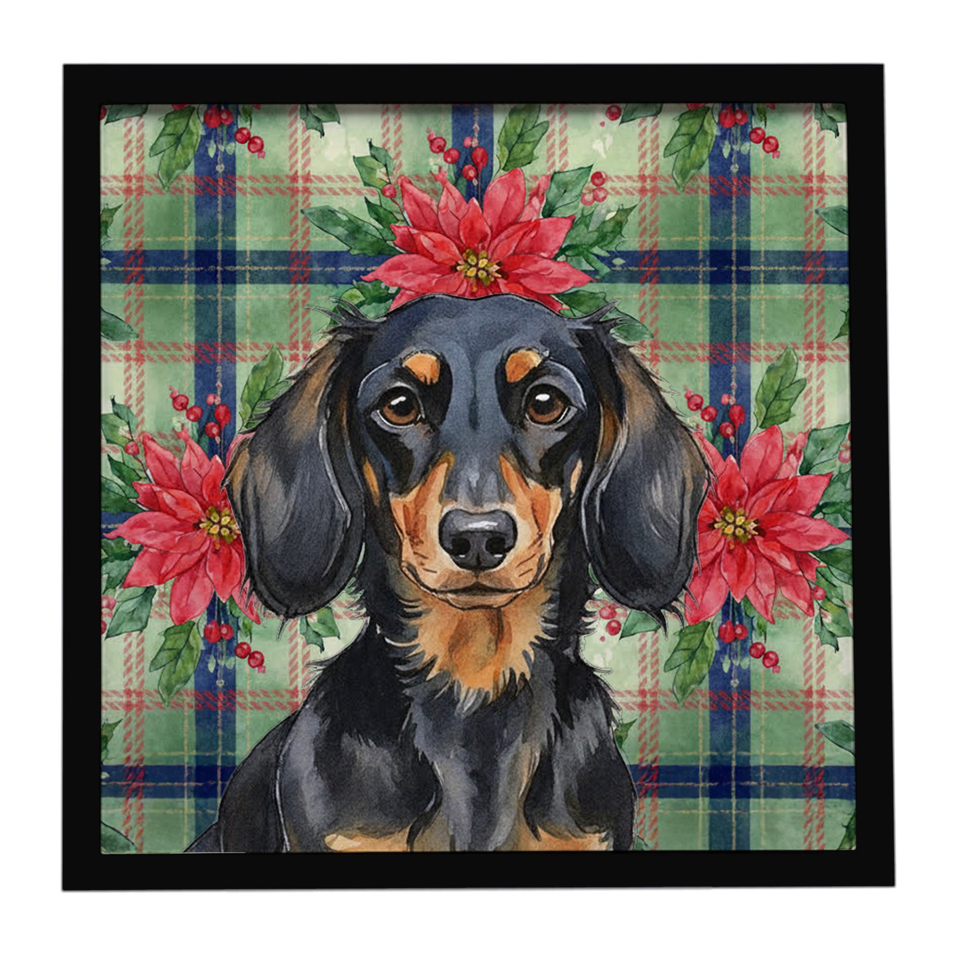 Buy this Longhaired Black and Tan Dachshund Christmas PoinsettIas Framed Metal Print