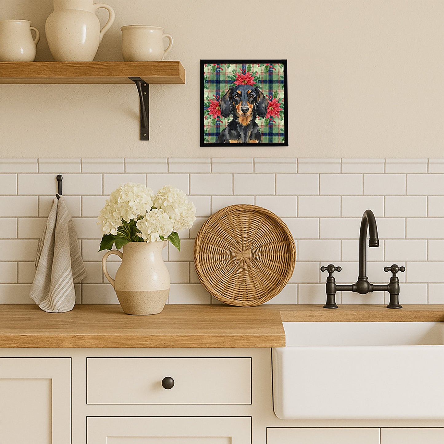 Longhaired Black and Tan Dachshund Christmas PoinsettIas Framed Metal Print