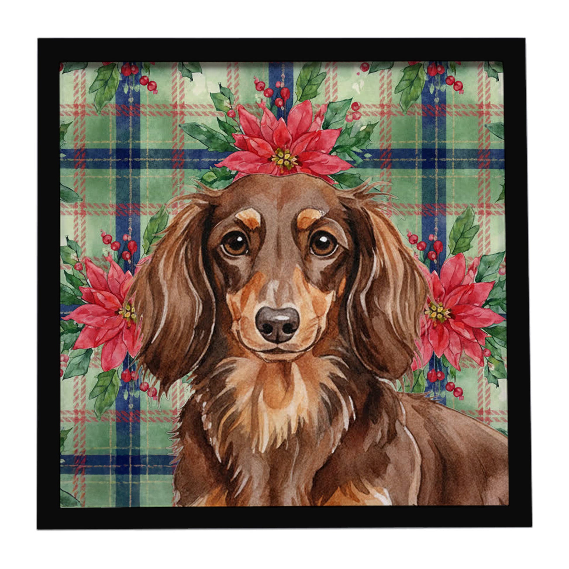 Buy this Longhaired Chocolate and Tan Dachshund Christmas PoinsettIas Framed Metal Print