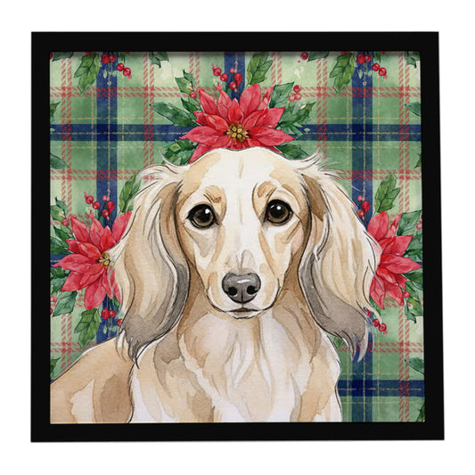 Buy this Longhaired Cream Dachshund Christmas PoinsettIas Framed Metal Print