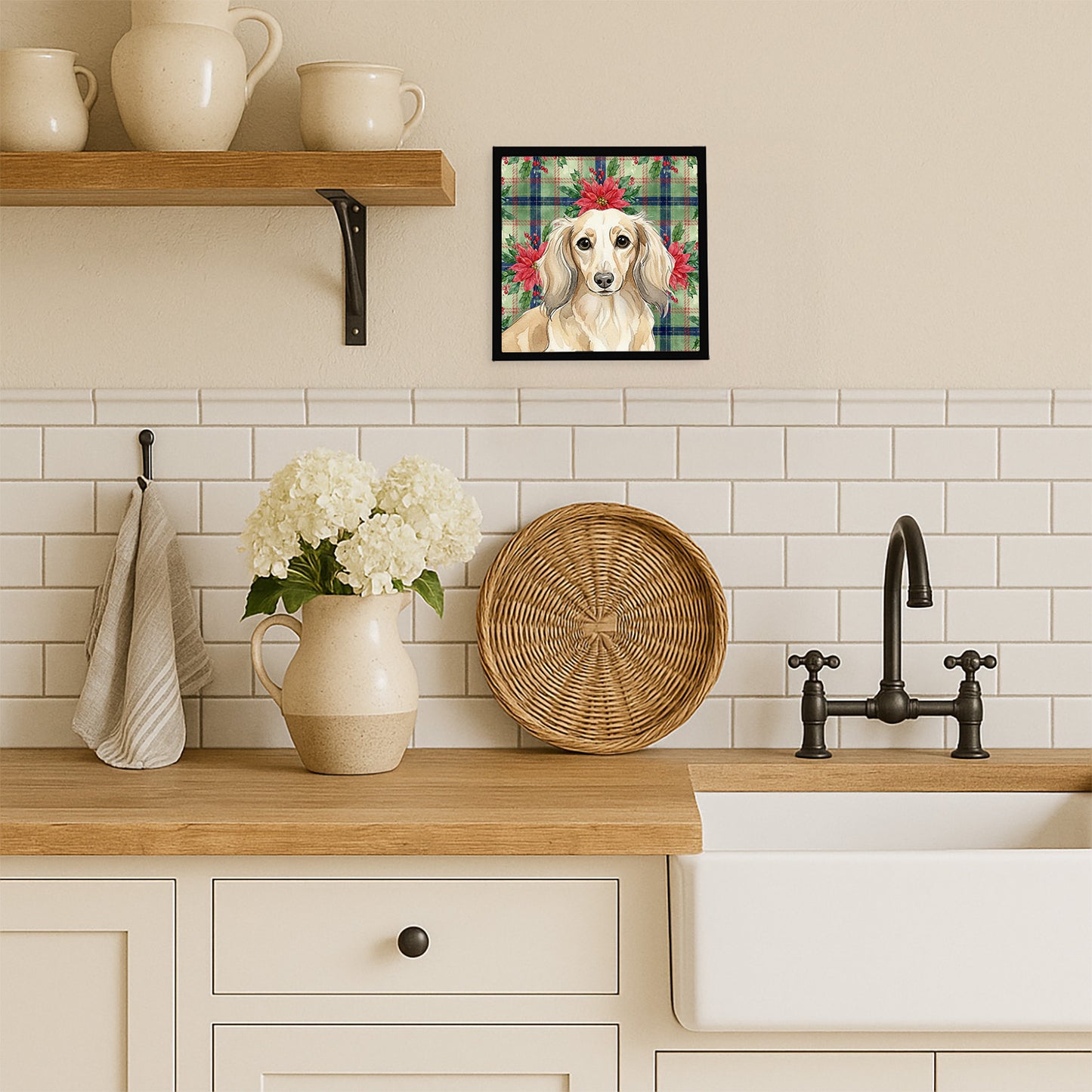 Longhaired Cream Dachshund Christmas PoinsettIas Framed Metal Print
