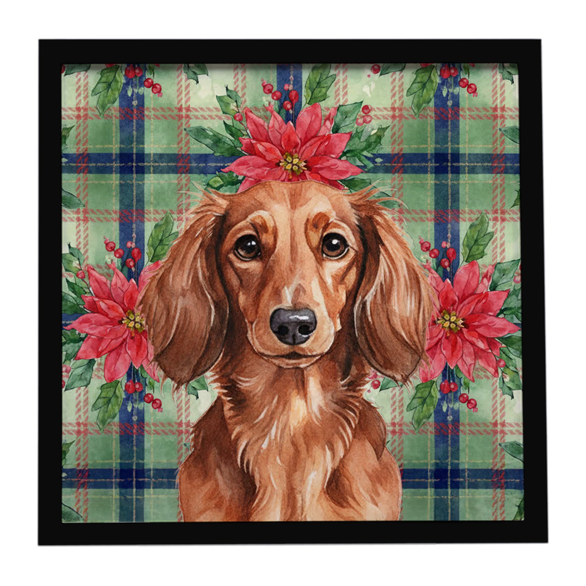 Buy this Longhaired Red Dachshund Christmas PoinsettIas Framed Metal Print