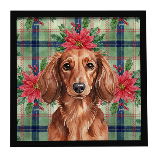 Buy this Longhaired Red Dachshund Christmas PoinsettIas Framed Metal Print