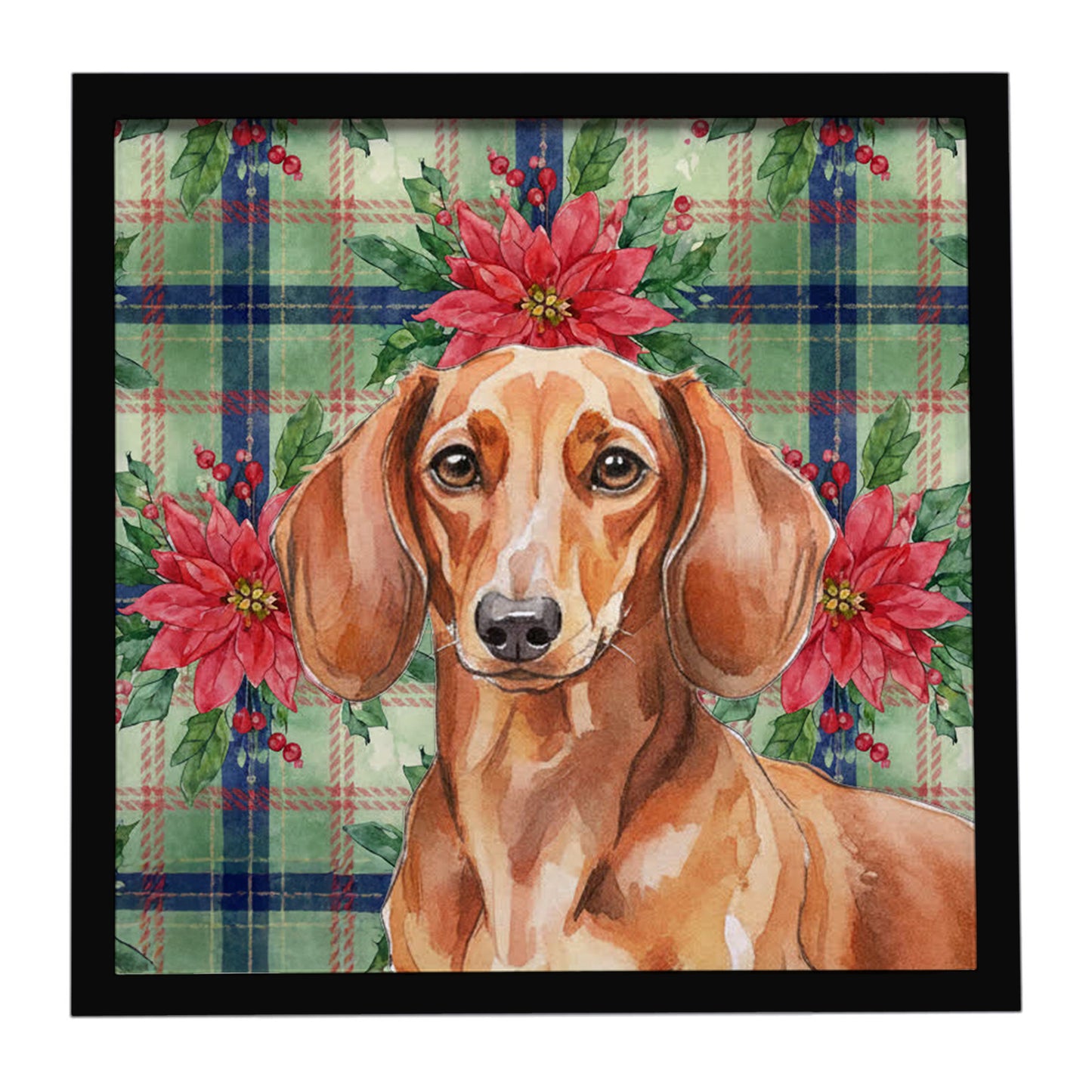 Buy this Red Brown Dachshund Christmas PoinsettIas Framed Metal Print