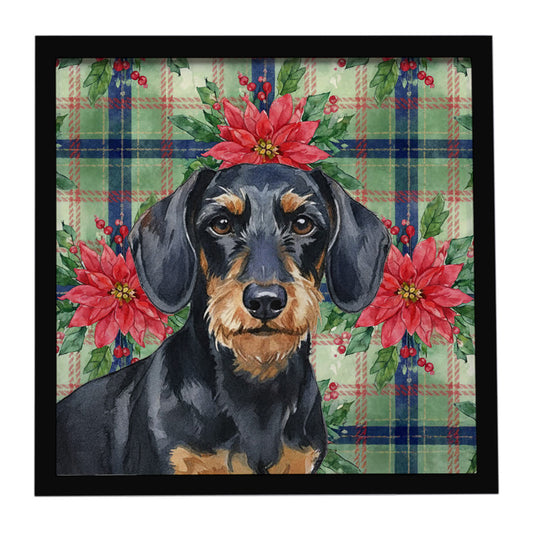 Buy this Wirehaired Black and Tan Dachshund Christmas PoinsettIas Framed Metal Print