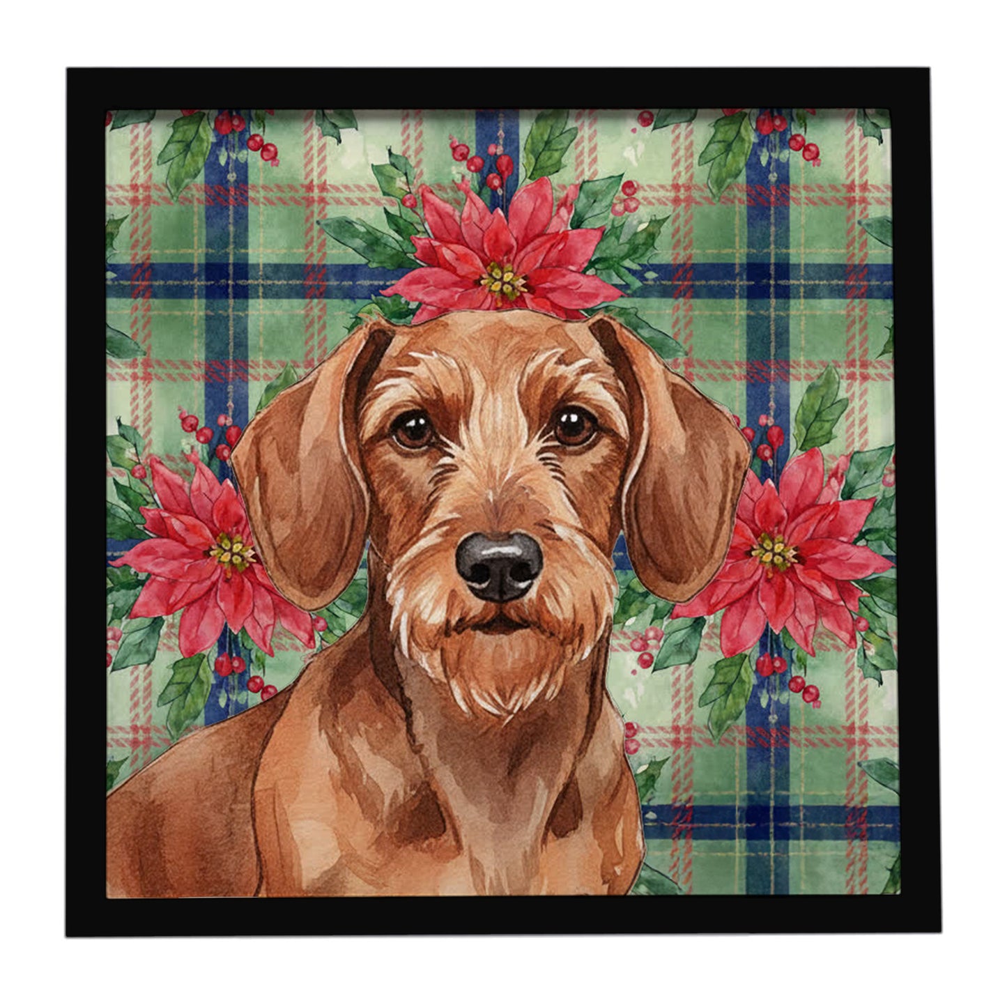 Buy this Wirehaired Red Dachshund Christmas PoinsettIas Framed Metal Print