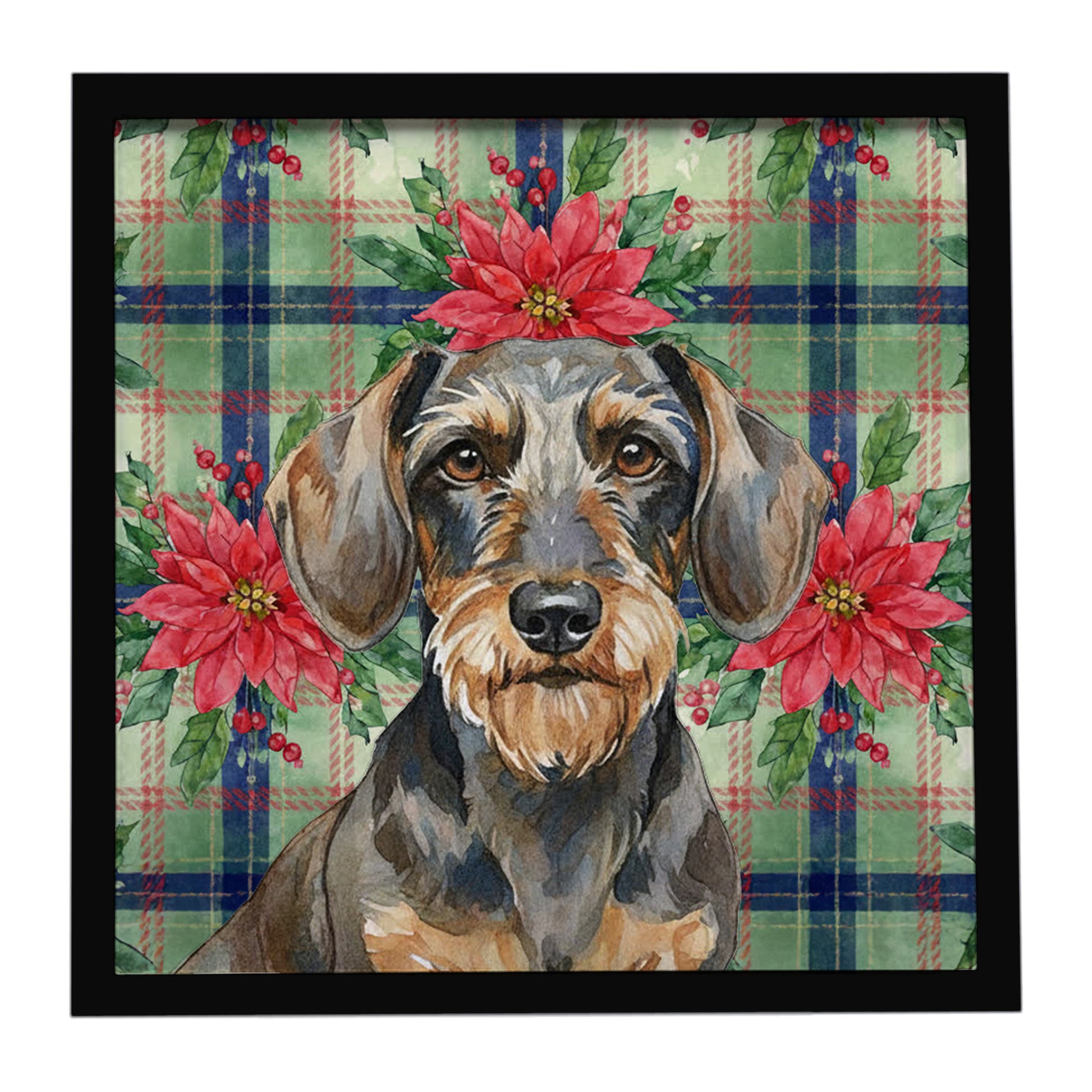 Buy this Wirehaired Wild Boar Dachshund Christmas PoinsettIas Framed Metal Print