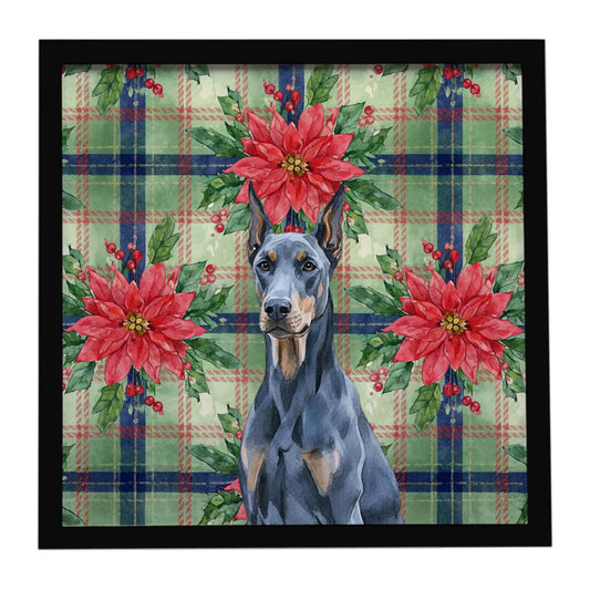 Buy this Blue Doberman Pinscher Christmas PoinsettIas Framed Metal Print