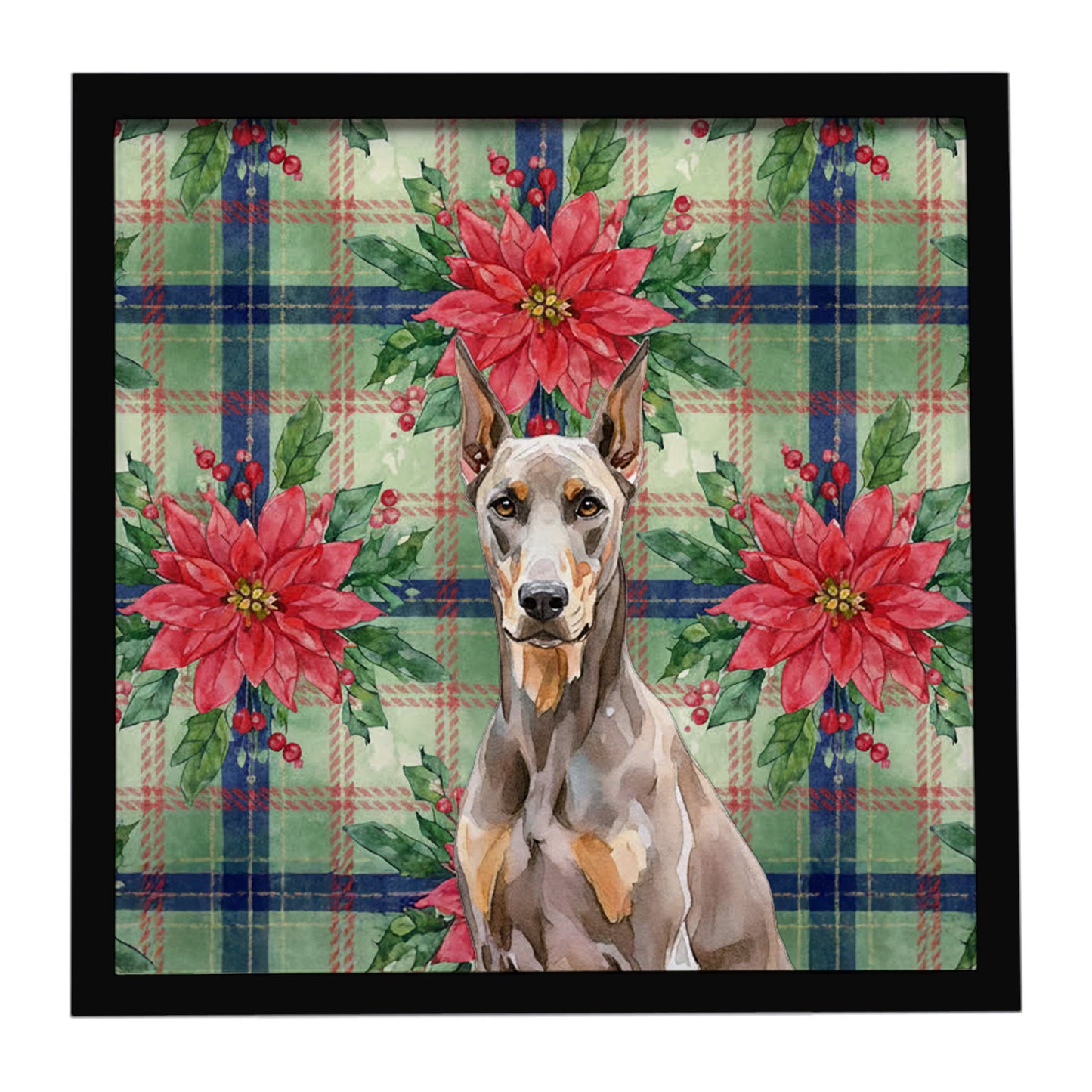 Buy this Fawn Doberman Pinscher Christmas PoinsettIas Framed Metal Print