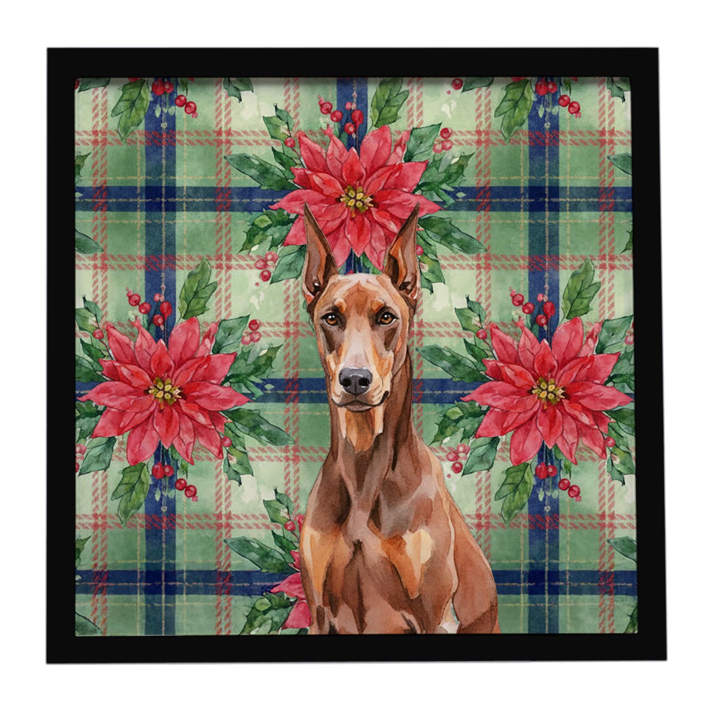 Buy this Red Doberman Pinscher Christmas PoinsettIas Framed Metal Print