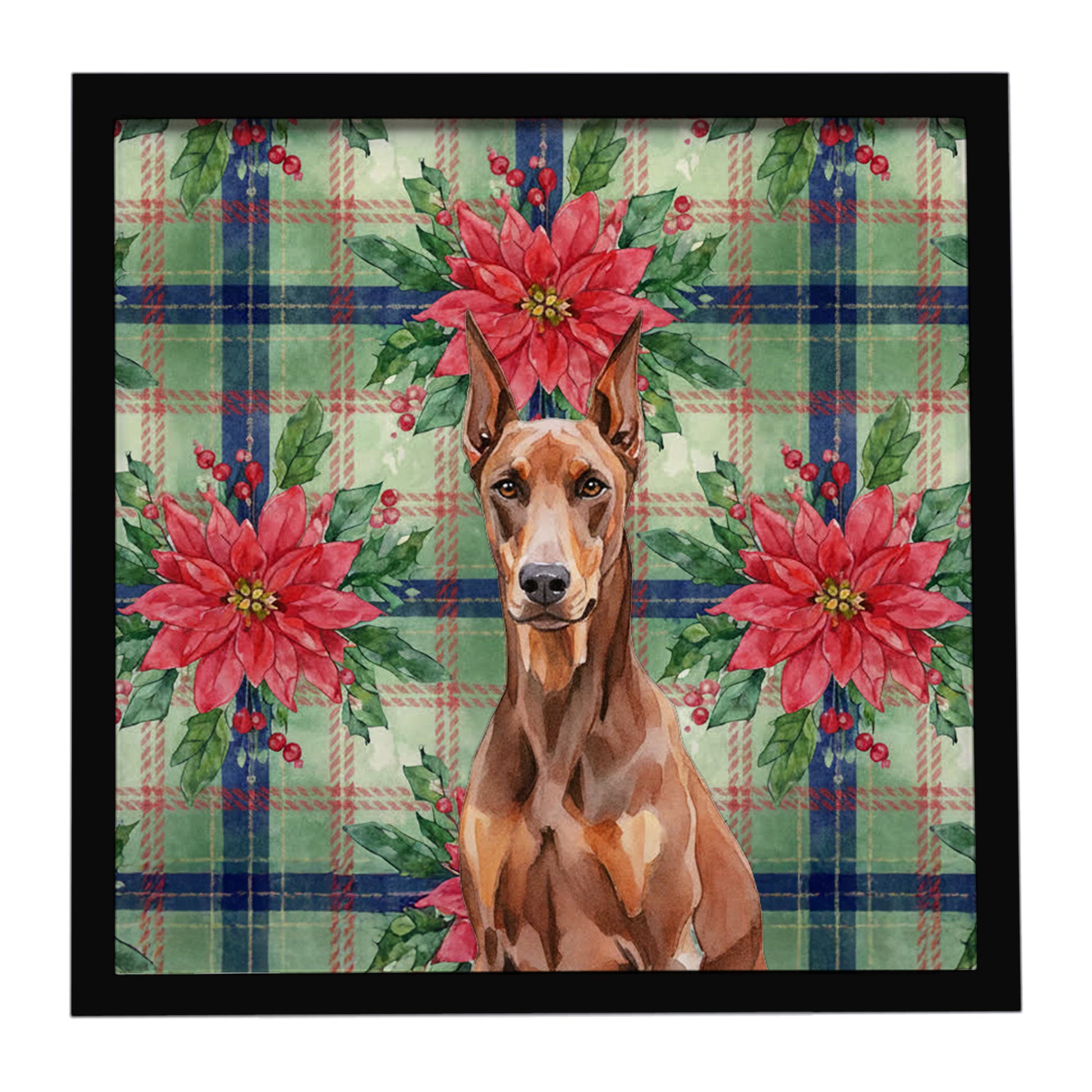 Buy this Red Doberman Pinscher Christmas PoinsettIas Framed Metal Print