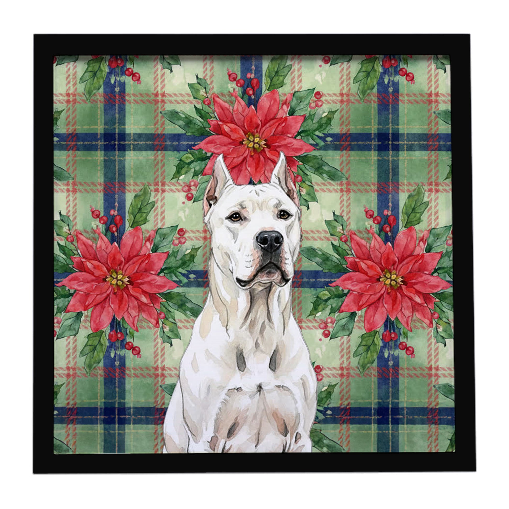 Buy this Dogo Argentino Christmas PoinsettIas Framed Metal Print