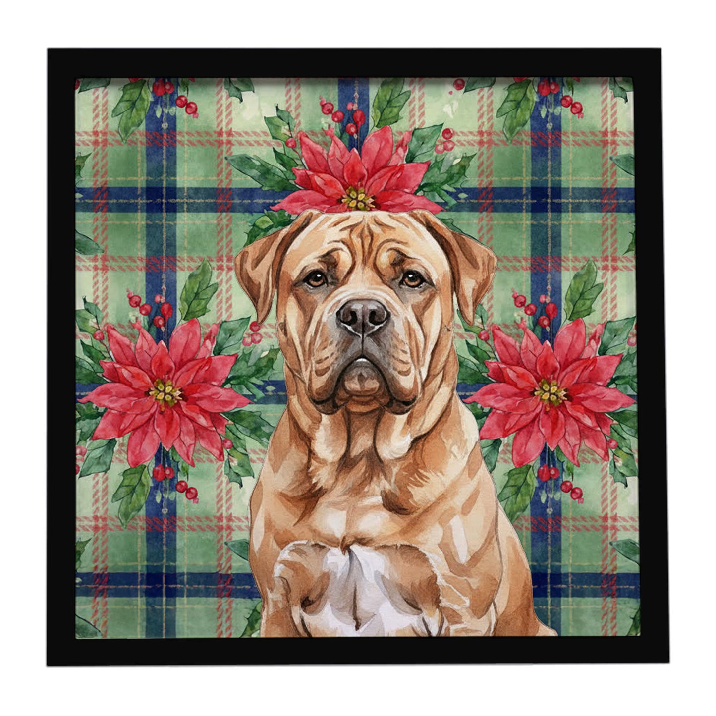 Buy this Dogue de Bordeaux Christmas PoinsettIas Framed Metal Print