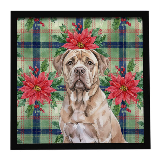 Buy this Isabella Dogue de Bordeaux Christmas PoinsettIas Framed Metal Print
