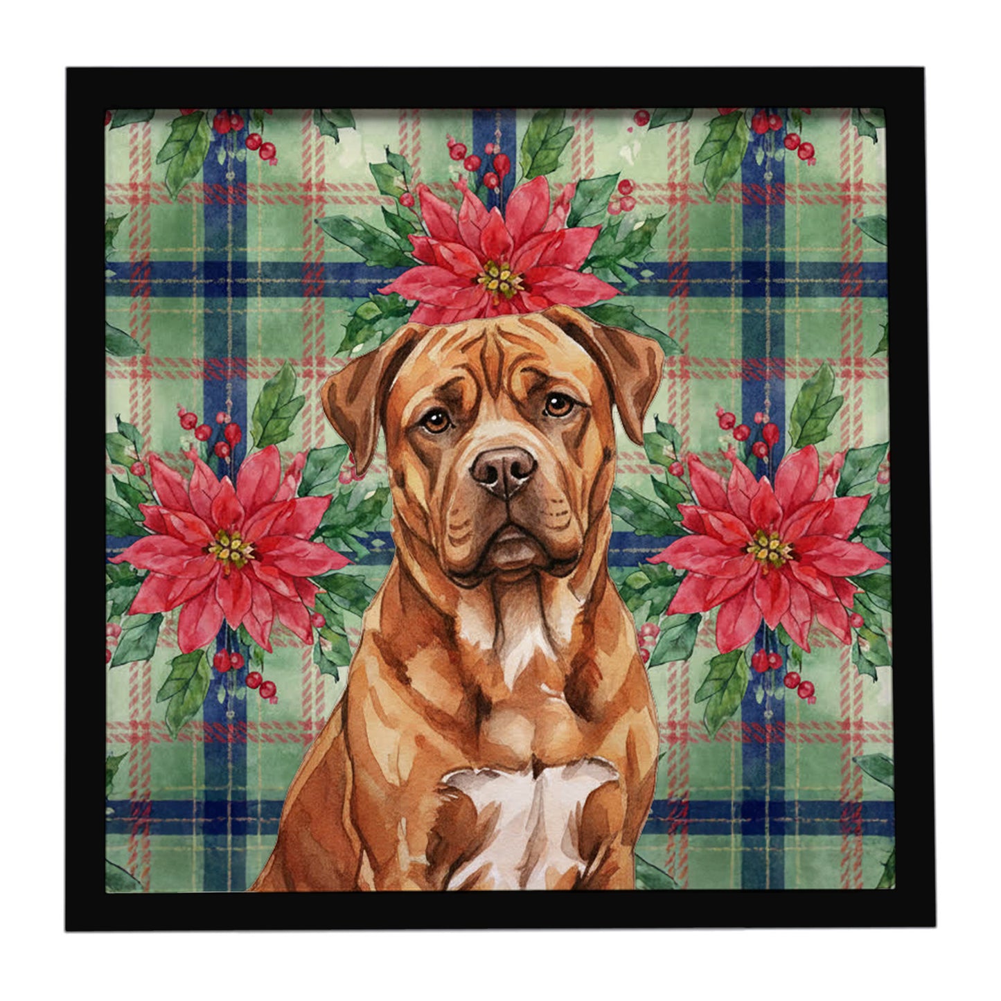 Buy this Mahogany Dogue de Bordeaux Christmas PoinsettIas Framed Metal Print
