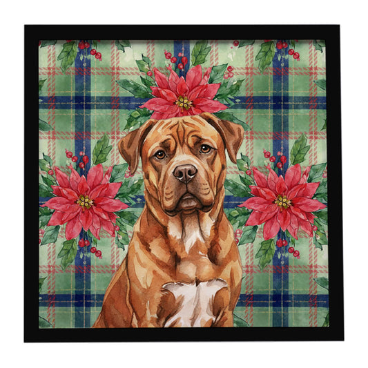 Buy this Mahogany Dogue de Bordeaux Christmas PoinsettIas Framed Metal Print