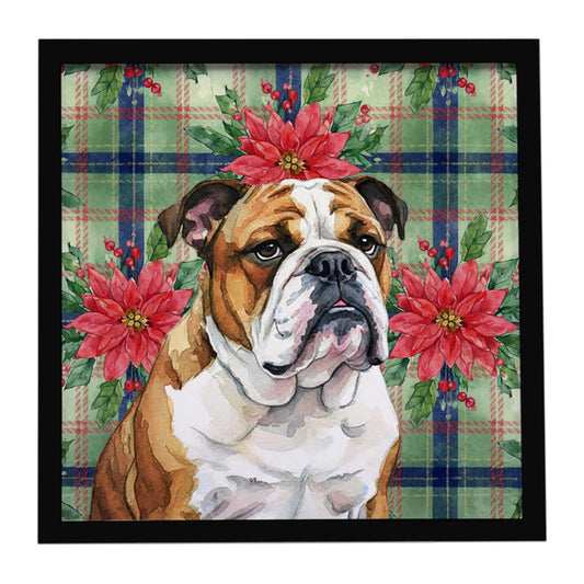 Buy this Brindle and White English Bulldog Christmas PoinsettIas Framed Metal Print