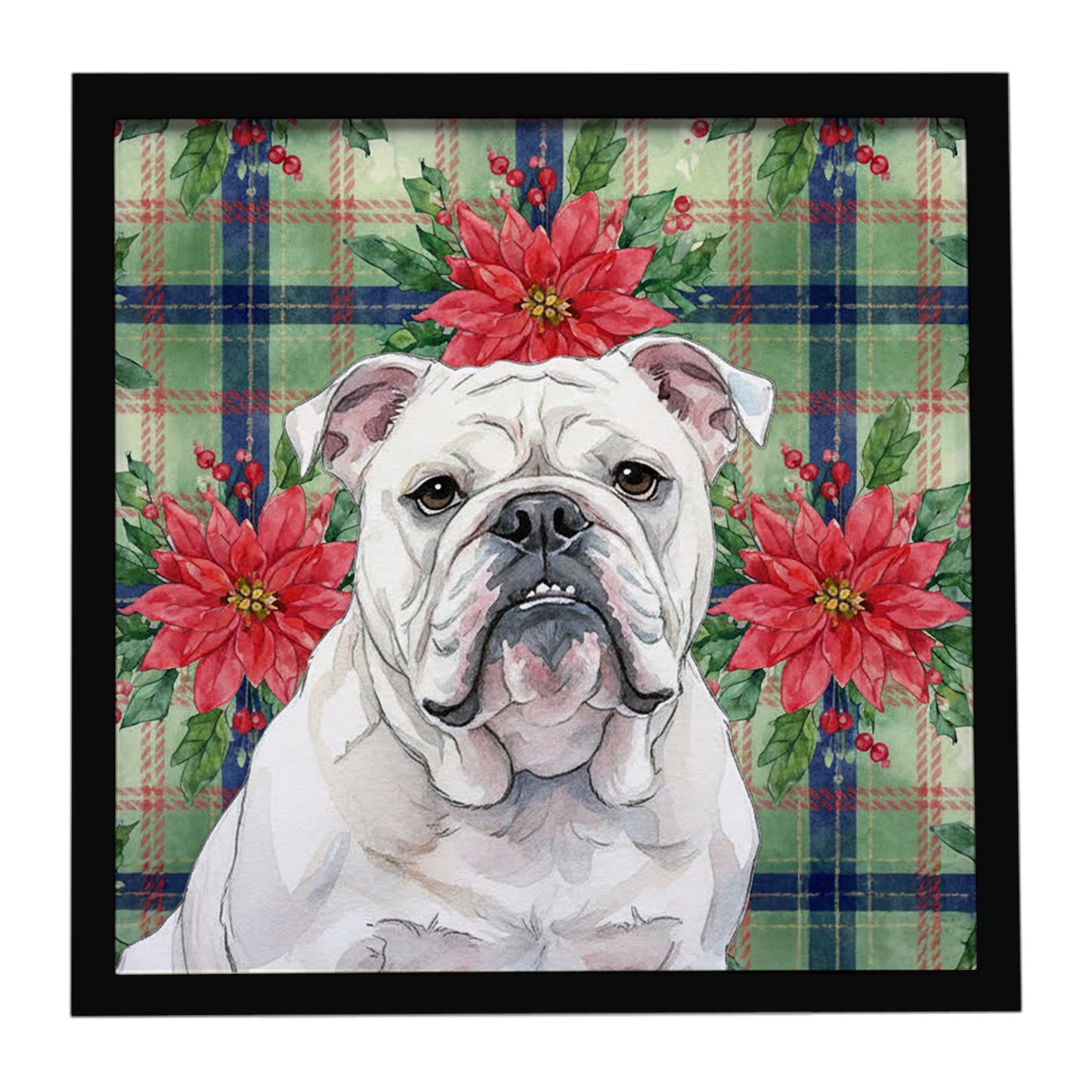 Buy this White English Bulldog Christmas PoinsettIas Framed Metal Print