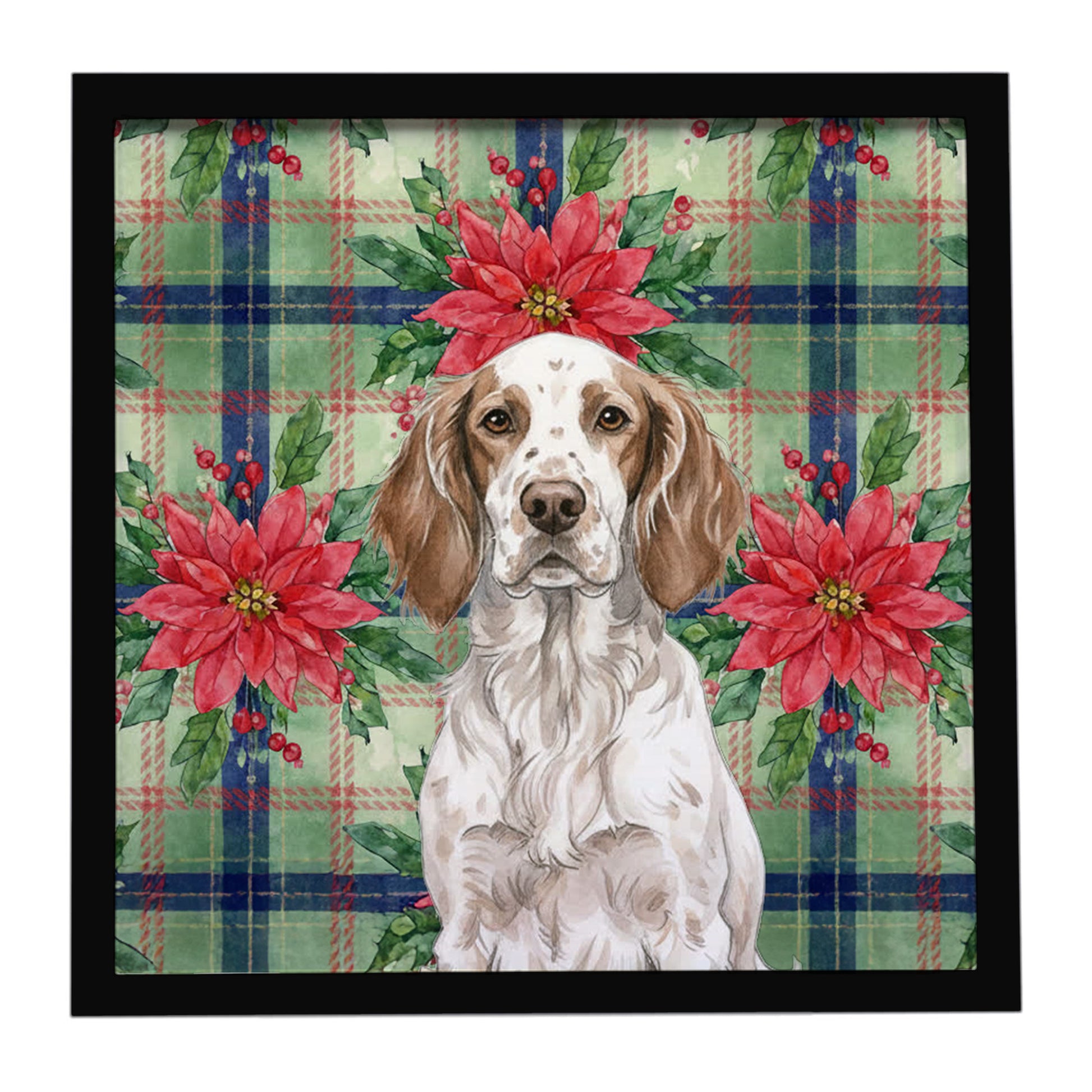 Buy this Liver Belton English Setter Christmas PoinsettIas Framed Metal Print