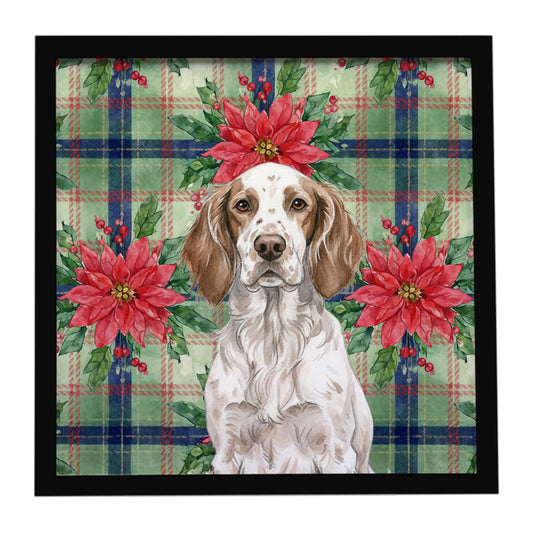 Buy this Liver Belton English Setter Christmas PoinsettIas Framed Metal Print