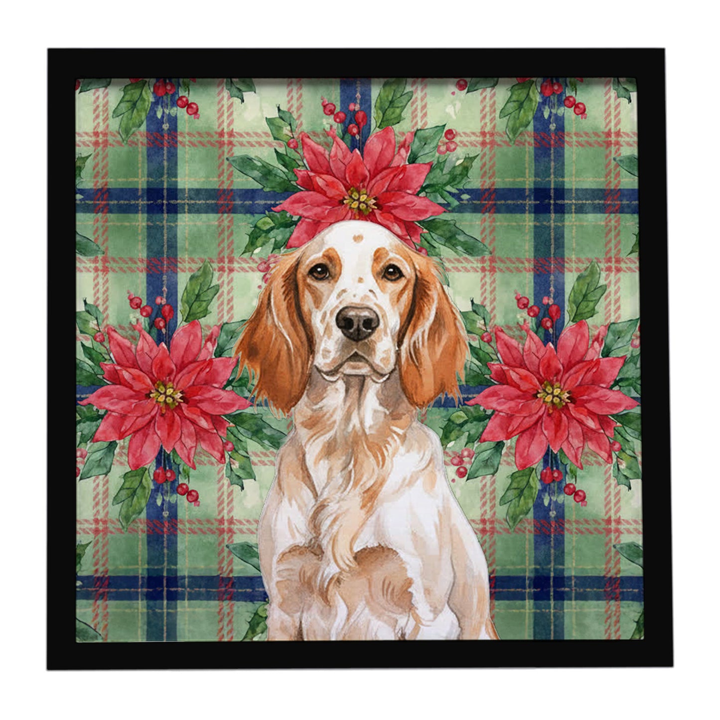 Buy this Orange Belton English Setter Christmas PoinsettIas Framed Metal Print