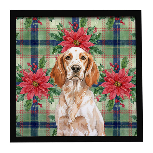 Buy this Orange Belton English Setter Christmas PoinsettIas Framed Metal Print