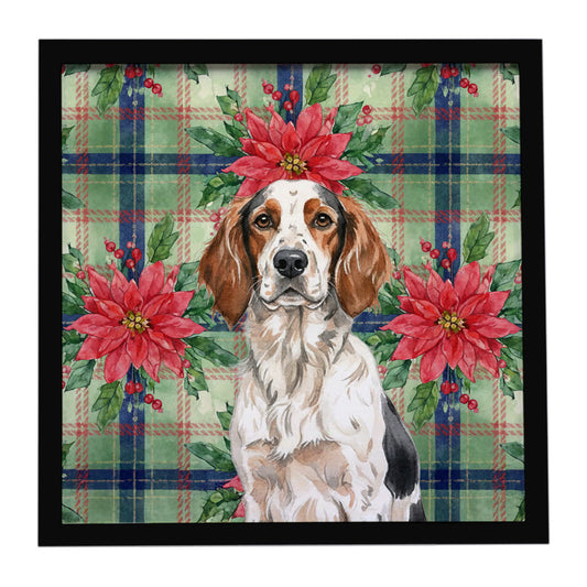 Buy this Tricolor English Setter Christmas PoinsettIas Framed Metal Print