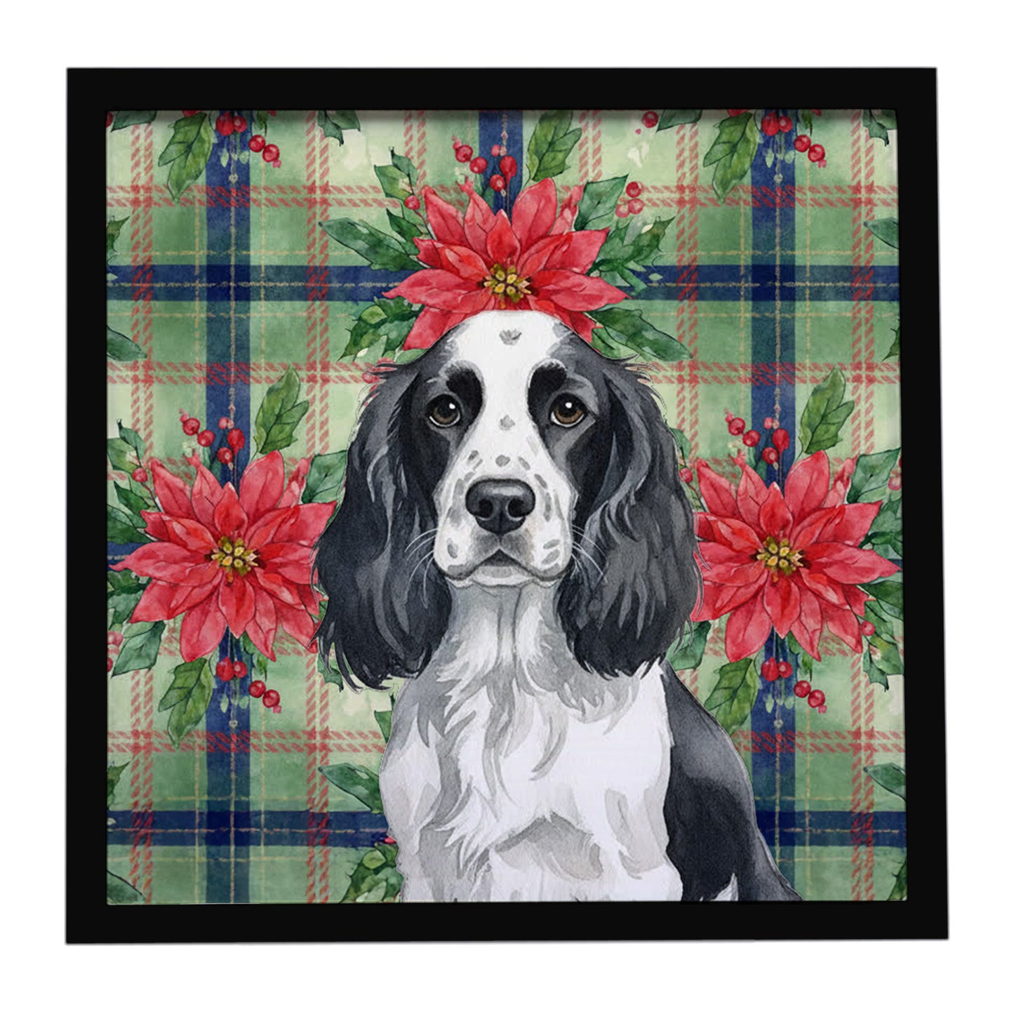 Buy this Black and White English Springer Spaniel Christmas PoinsettIas Framed Metal Print