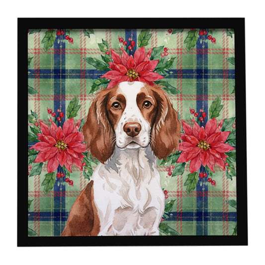 Buy this Liver and White English Springer Spaniel Christmas PoinsettIas Framed Metal Print