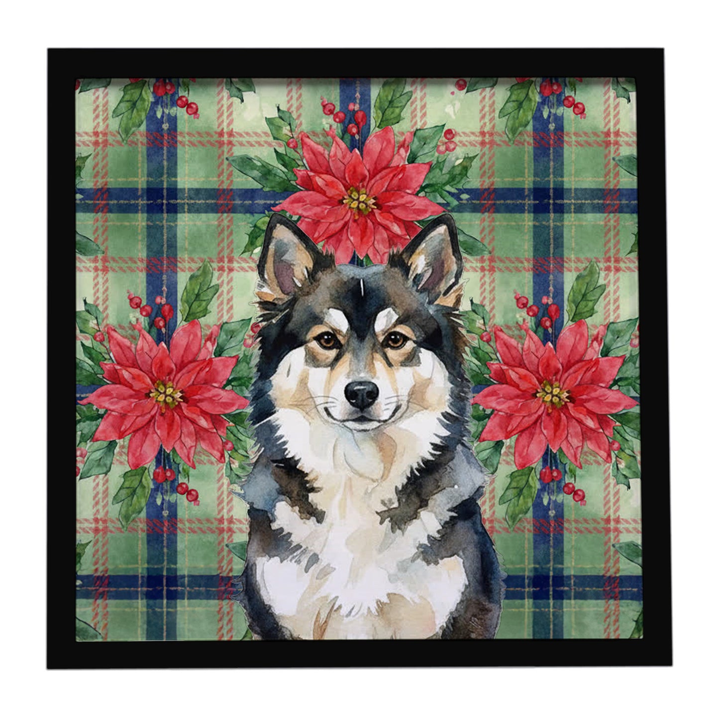 Buy this Finnish Lapphund Christmas PoinsettIas Framed Metal Print